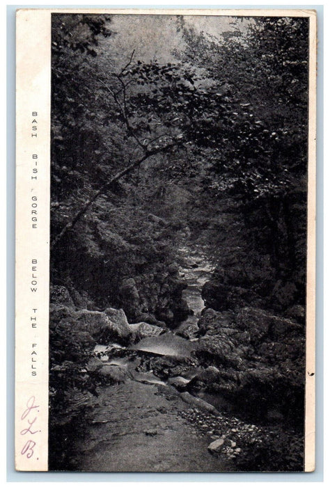 1906 Bash Bish Gorge Below The Falls Jamaica NY Great Barrington MA Postcard