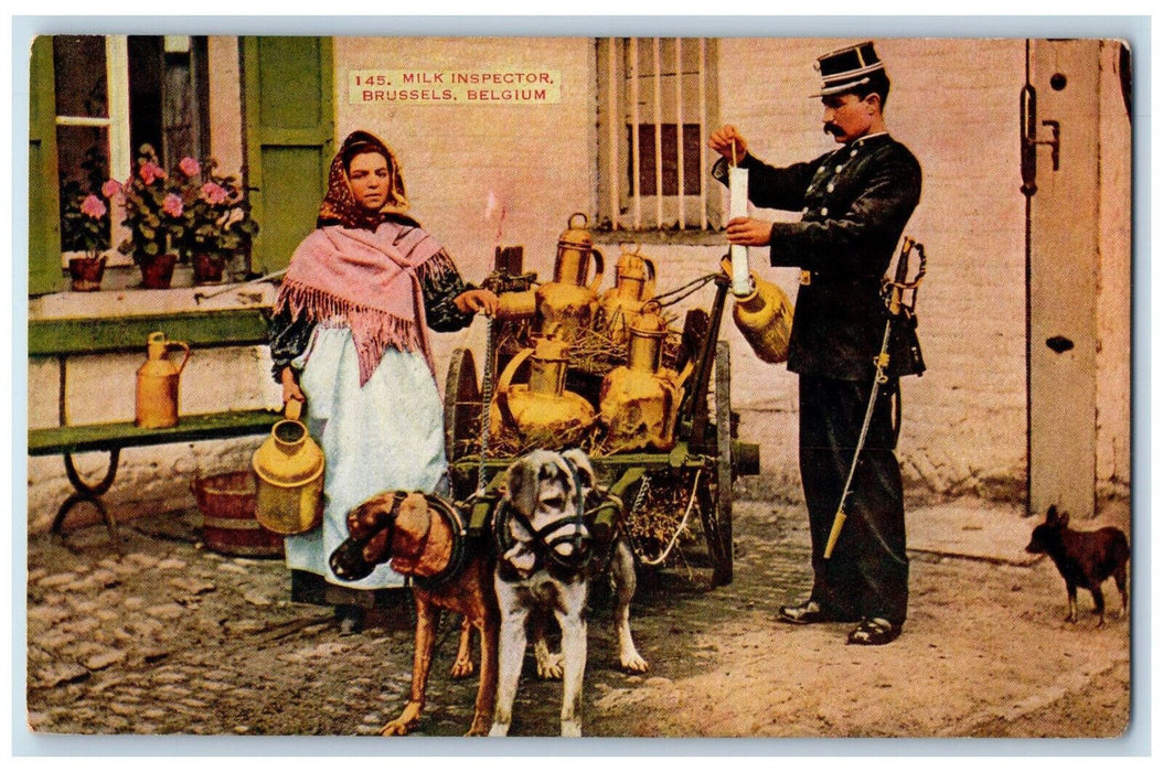 c1910 Woman Officer Dog Carriage Milk Inspector Brussels Belgium Postcard