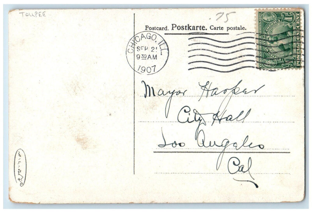 1907 Woman Dress Toupee Do Not Penetrate Chicago Illinois IL Antique Postcard