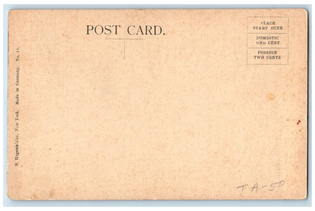 c1910 Botanical Museum Bronx Park New York NY RF Turnbull Antique Postcard