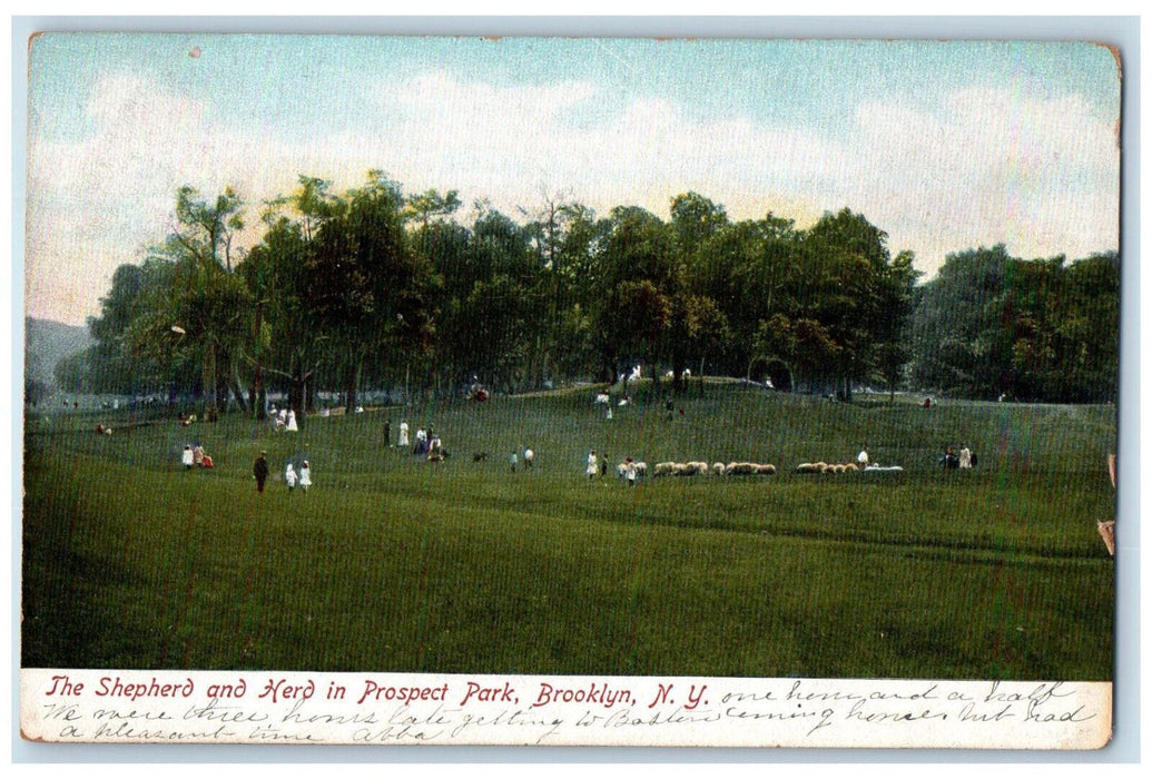 1907 The Shepherd and Herd in Prospect Park Brooklyn New York NY Postcard