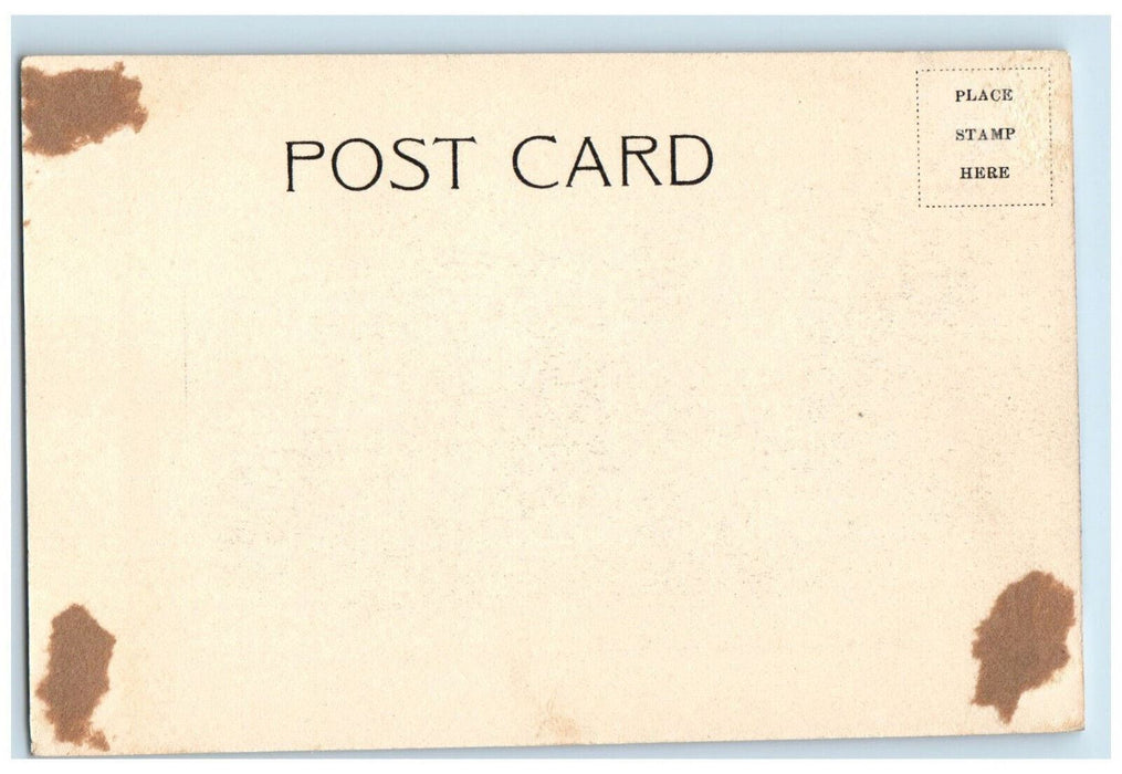 c1905 Henry House Germantown Phildelphia Pennsylvania PA Unposted Postcard