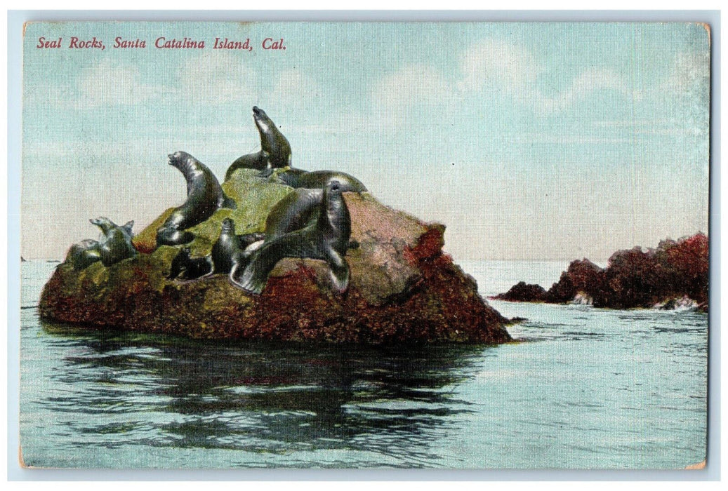 c1910 Seal Rocks Santa Catalina Island California CA Antique Postcard