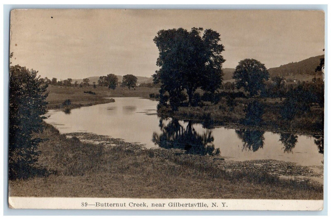 1914 Butternut Creek Near Gilbertsville Morris NY Phelps RPPC Photo Postcard