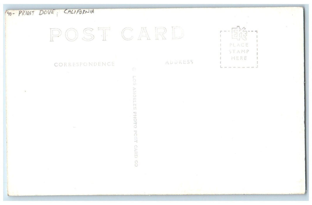 c1940s Mission San Juan Capistrano Priest Dove California CA RPPC Photo Postcard