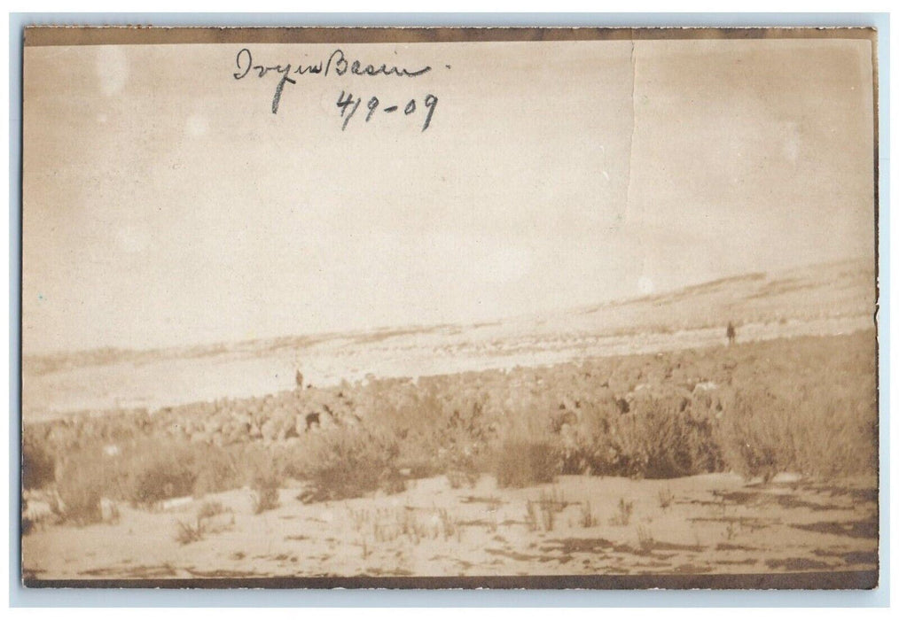 1909 Candid Photo By Ivy Kodak Plain Basin Wyoming WY RPPC Photo Posted Postcard