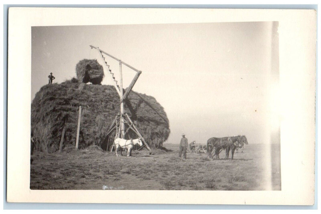 c1910's Giant Hay Bale Horse Team Farmers Farming Chadron NB RPPC Photo Postcard