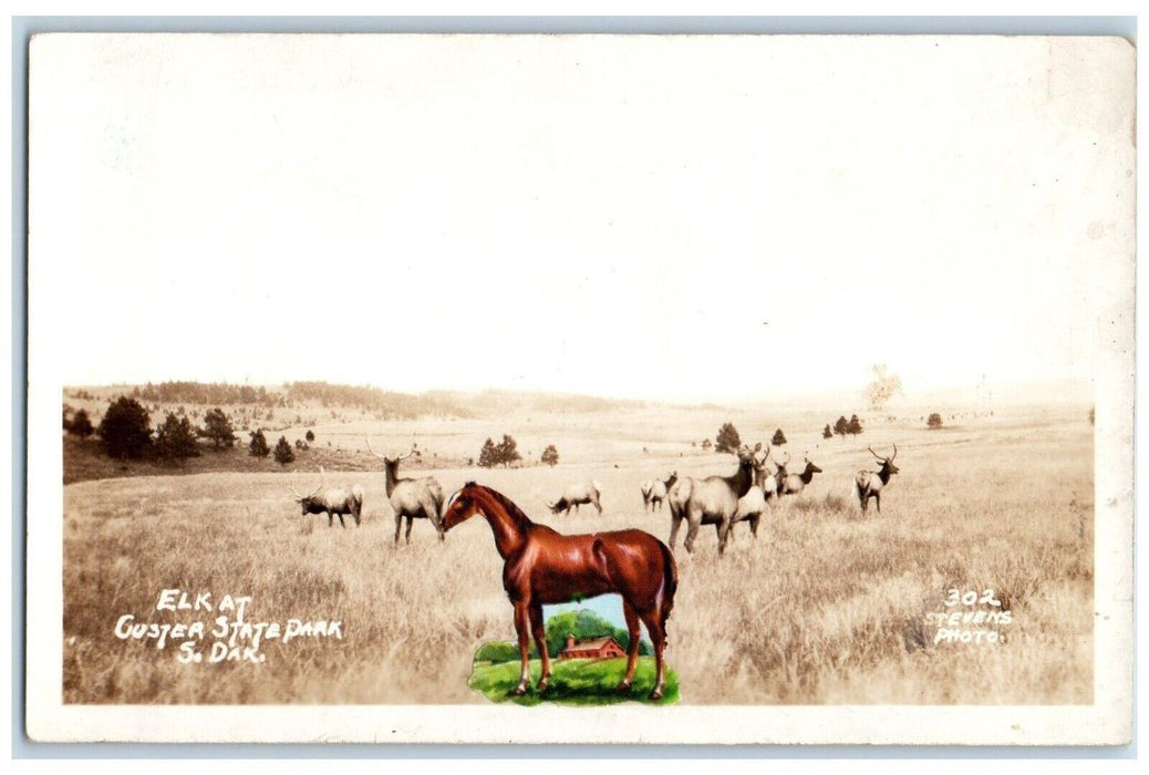 c1930's Elk Custer State Park Stevens Black Hills SD RPPC Photo Postcard