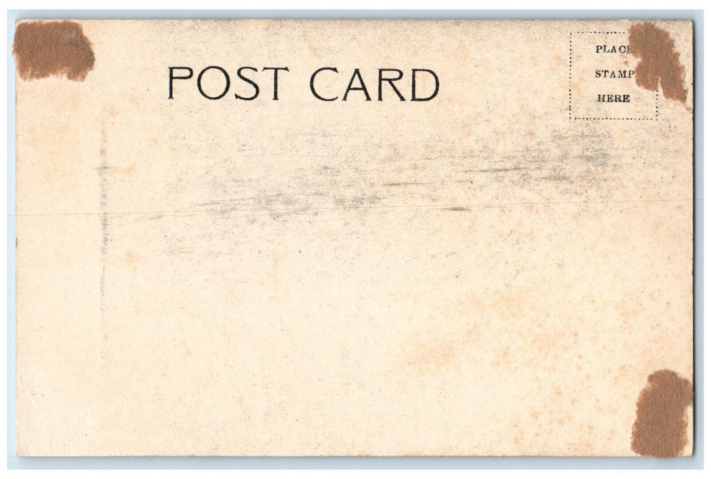 c1905 Lovers Leap Wissahickon Philadelphia Pennsylvania PA Antique Postcard