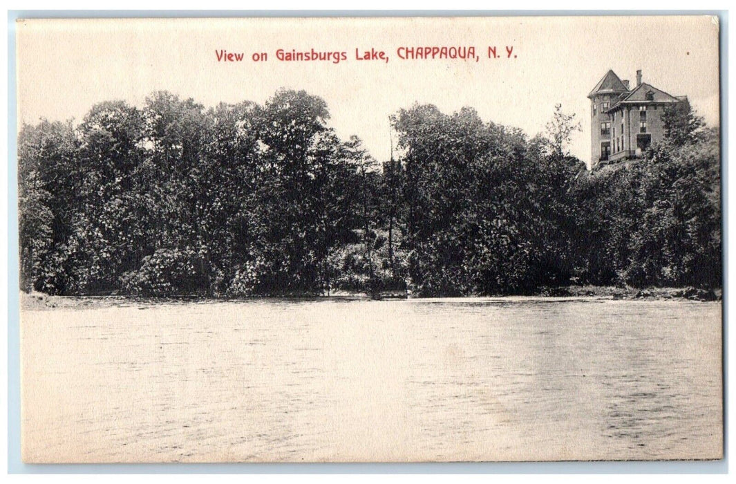 c1910 View Gainsburgs Lake House Exterior Chappaqua New York NY Artino Postcard