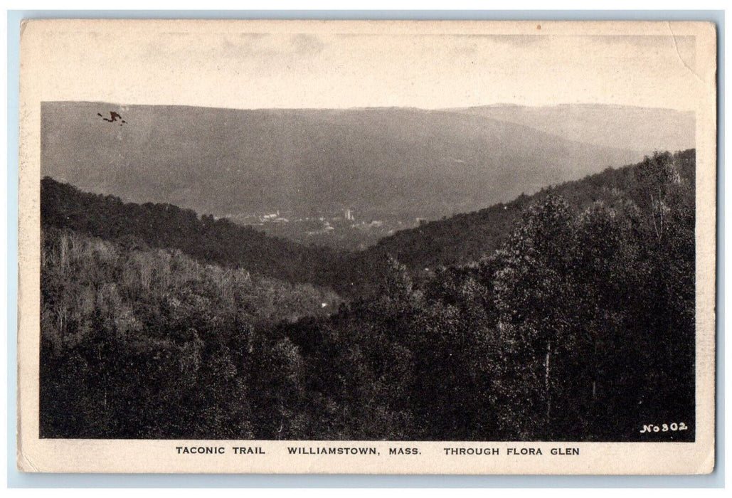 1934 Taconic Trail Through Flora Glen Williamstown Massachusetts MA Postcard