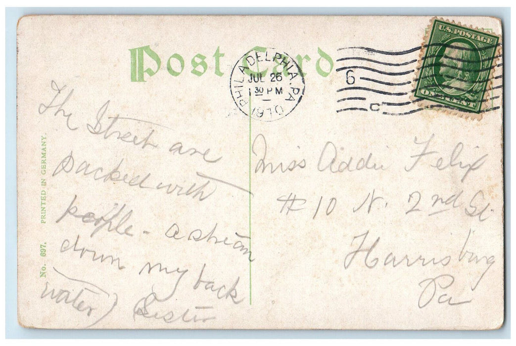 1910 Victoria Regia Fairmount Park Philadelphia Pennsylvania PA Postcard