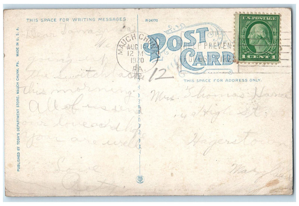 1920 Chameleon Falls Glen Onoko Mauch Chunk Pennsylvania PA Postcard