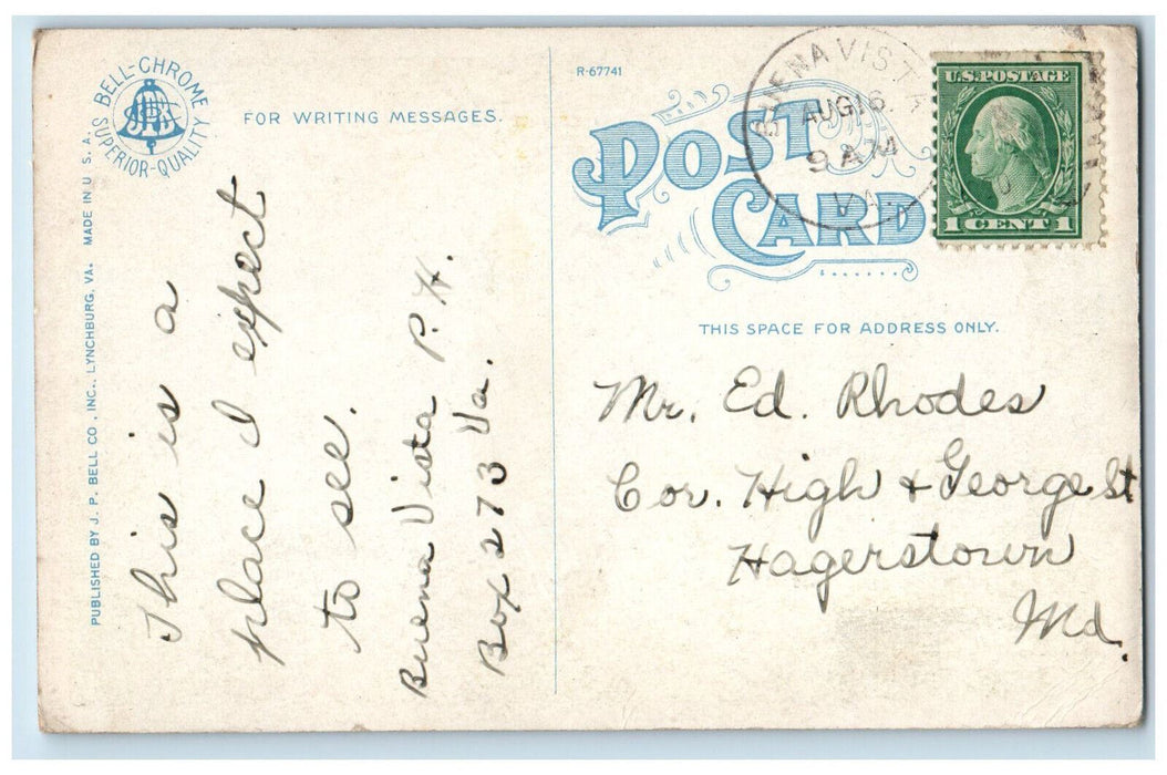 1920 Lace Water Falls Natural Bridge Virginia VA Antique Posted Postcard