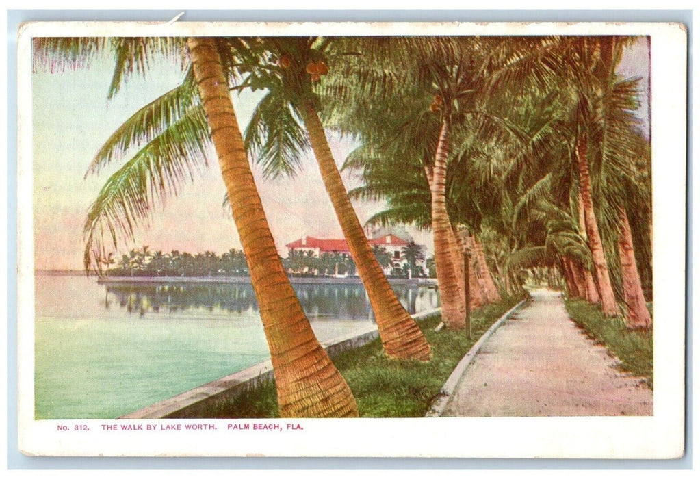 1898 Walk Lake Worth Coconut Tree Road Palm Beach Florida Act Congress Postcard