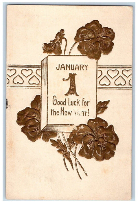 1908 New Year January 1 Goodluck Flowers Seatonville Illinois IL Posted Postcard