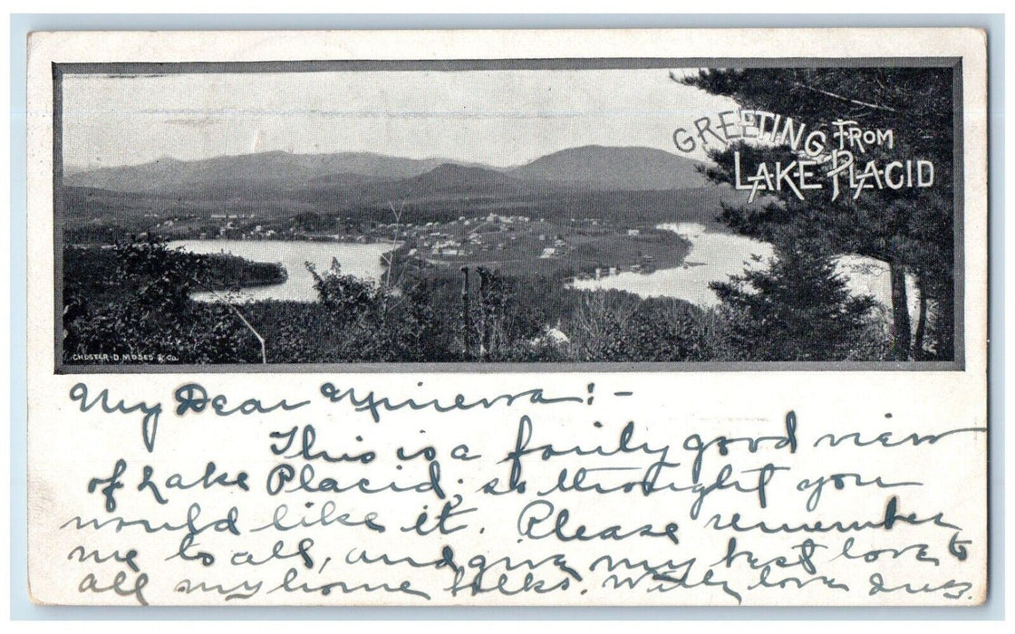 1902 Greetings From Lake Placid New York NY, Birds Eye View Antique Postcard