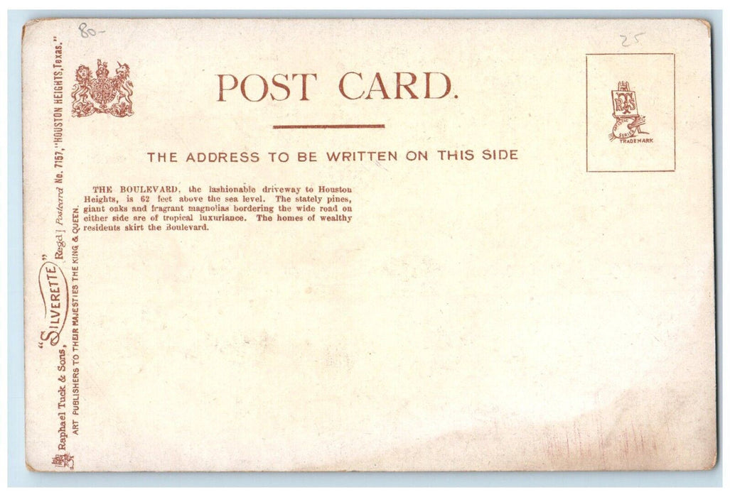 c1905 The Boulevard Dirt Road And Trees Houston Heights Texas TX Tuck's Postcard