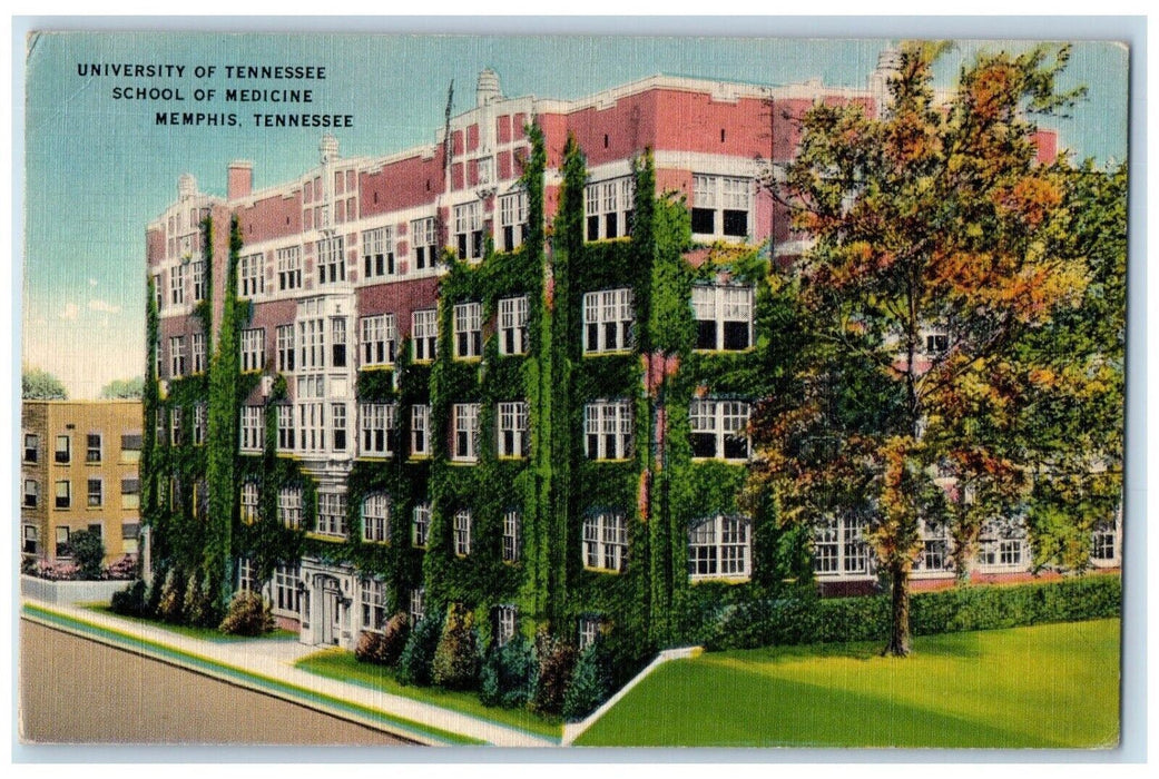 1943 University Of Tennessee School Of Medicine Memphis TN Vintage Postcard