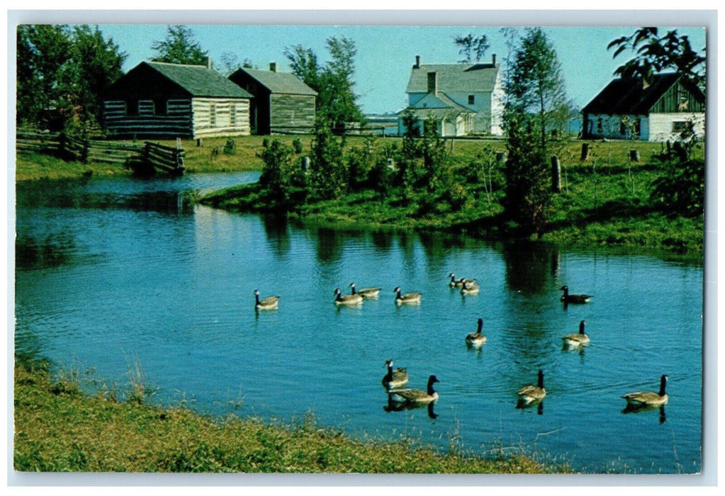 c1960's Upper Canada Village Geese on Mill Pond Morrisburg Canada Postcard