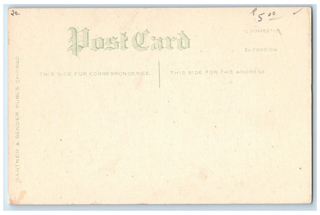 c1910's English Setter Dog Animals Unposted Antique Postcard
