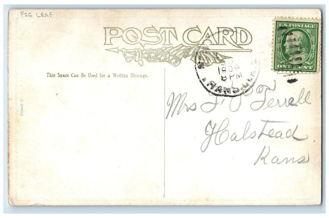 1909 Undressed Baby Toddler Dimpled Mouth Stork Fig Leaf Posted Antique Postcard