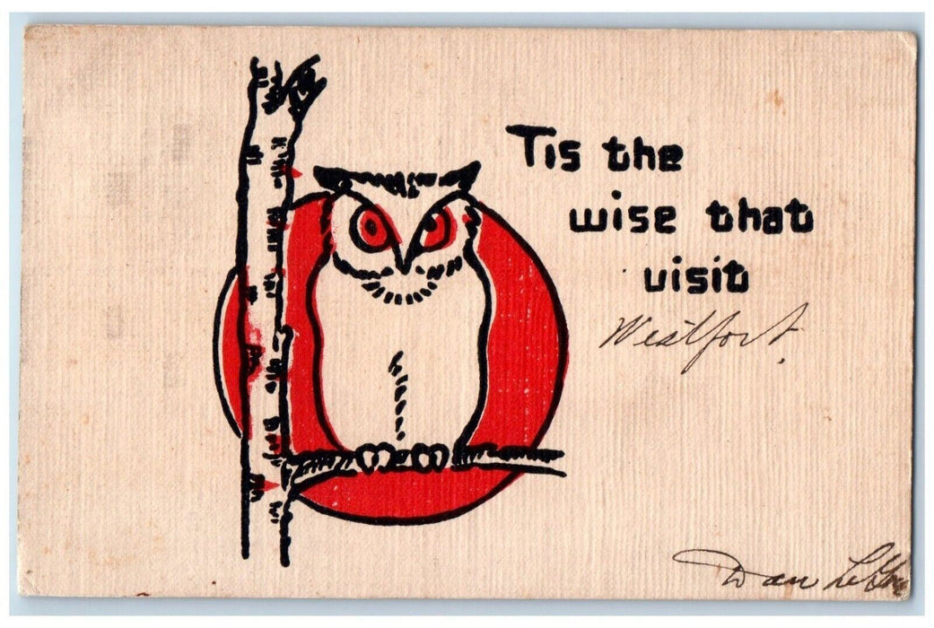 1907 Wise Owl Visit Tree Branch Canton Pennsylvania PA Posted Antique Postcard
