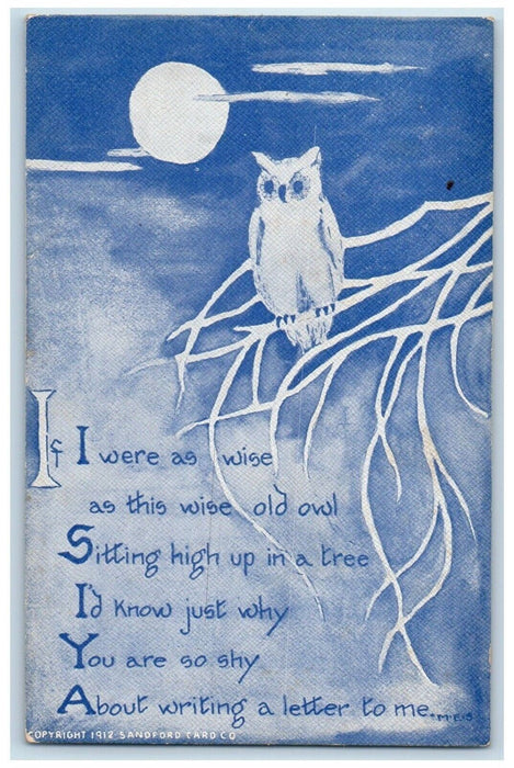 c1910's Wise Owl Sitting High In A Tree Sandford Unposted Antique Postcard