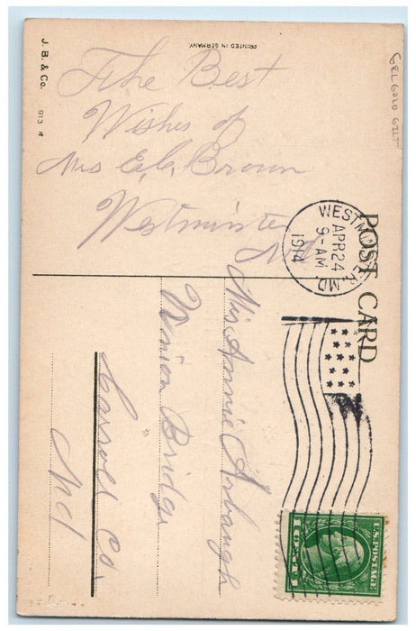 1914 Happy Birthday Flowers In Pot Gel Gold Gilt West Minster MD Posted Postcard