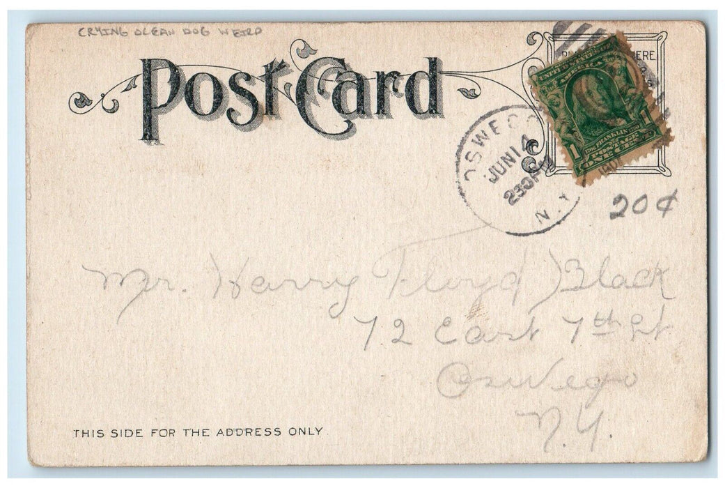 1907 Man Crying Ocean Dog Weird Sea Waves Oswego New York NY Antique Postcard