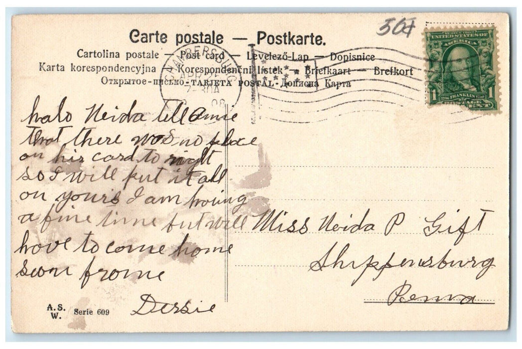 1908 Little Girl Curly Hair Big Hat Chambersburg Pennsylvania PA Posted Postcard