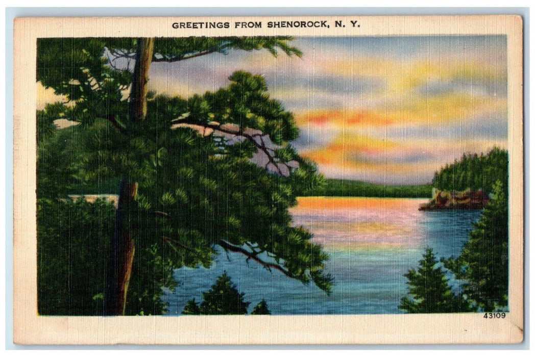 c1940 Greetings From Shenorock River Lake Sunset Trees New York Vintage Postcard