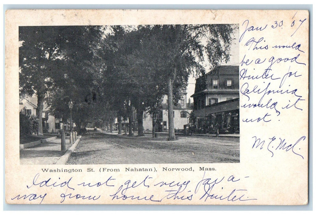 1907 Washington Street From Nahatan Norwood Massachusetts MA Tree-lined Postcard