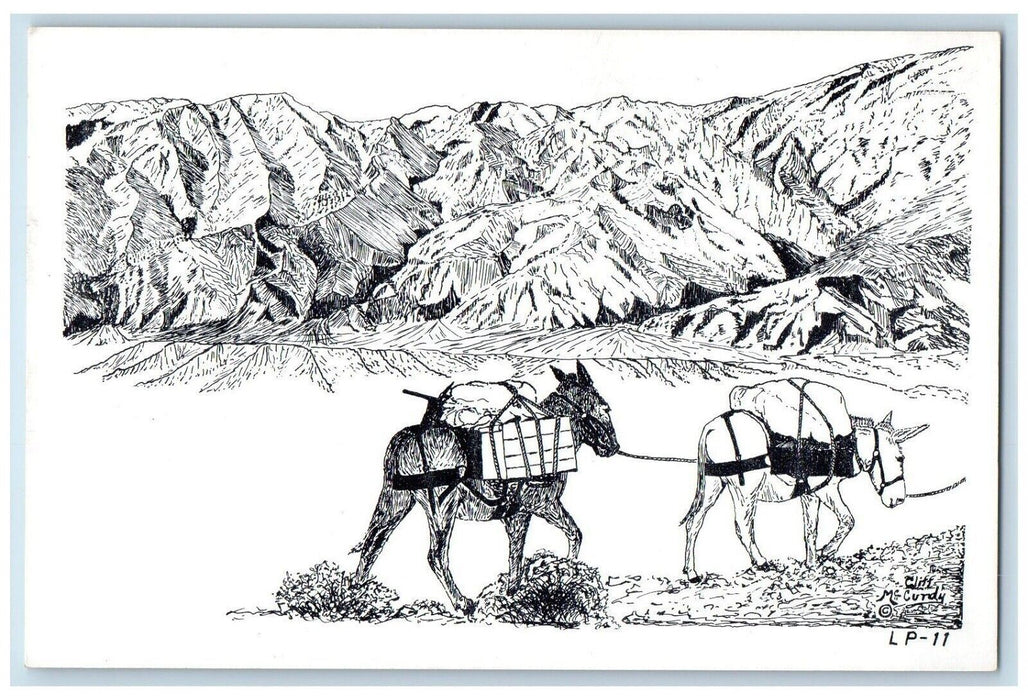 Original Drawings By Cliff McCurdy The Lone Packer Artist Horses Postcard