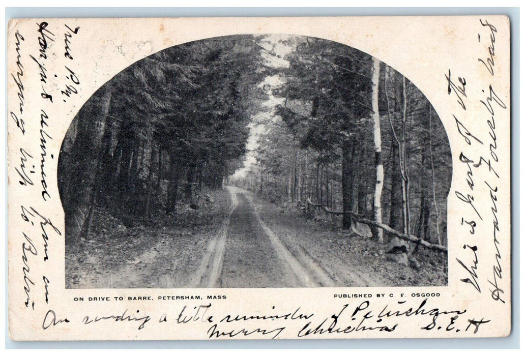 1907 On Drive To Barre Petersham Massachusetts MA, Dirt Road Tree-lined Postcard