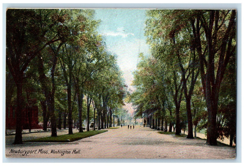View Of Washington Mall Tree-lined Newburyport Massachusetts MA Antique Postcard