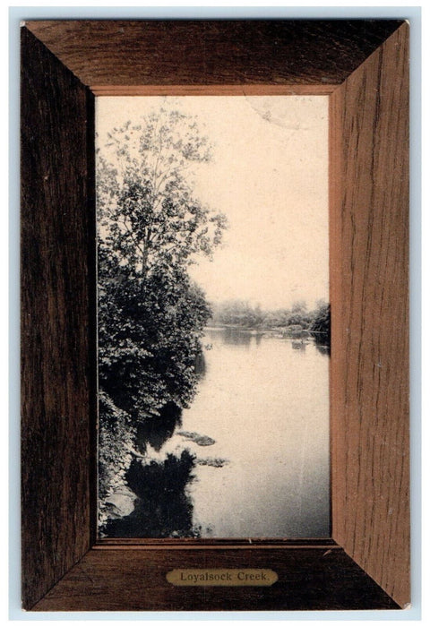 1907 Loyalsock Creek Williamsport Pennsylvania PA Rotograph Antique Postcard