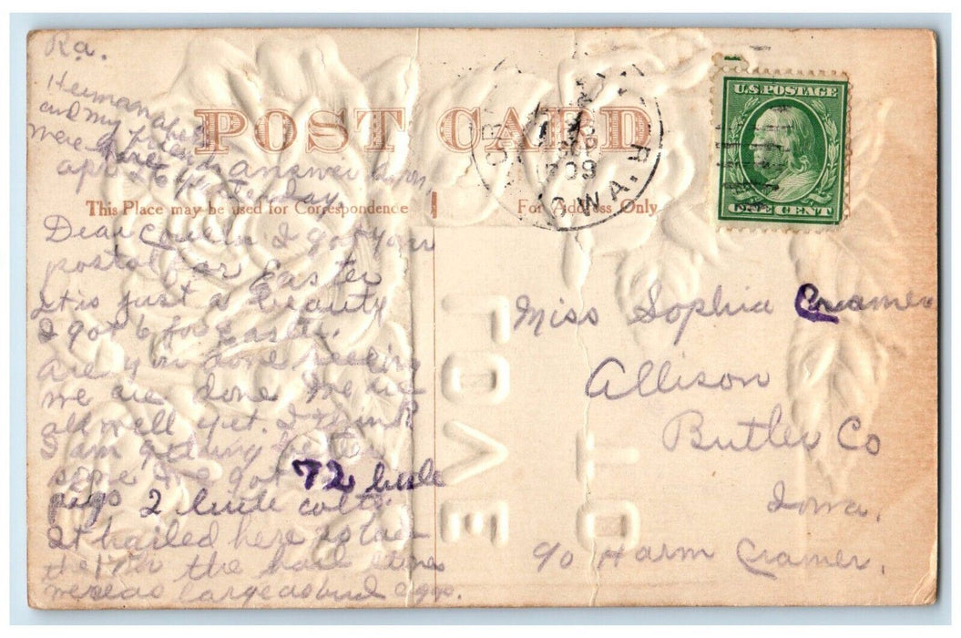 1909 Love To Flowers Airbrushed Embossed Butler County Iowa IA Antique Postcard