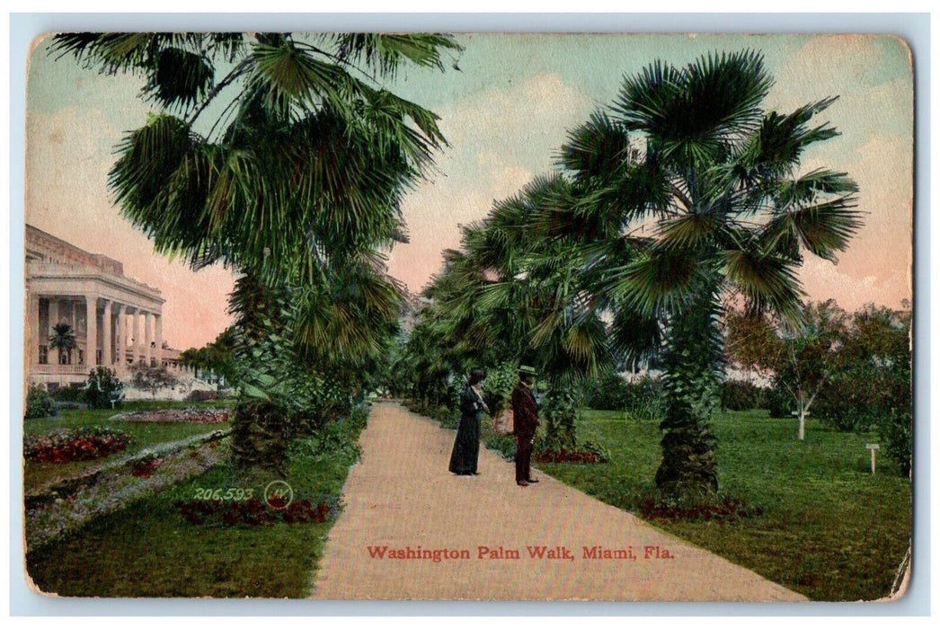 c1960 Washington Palm Walk Pine Trees Road Exterior Field Miami Florida Postcard