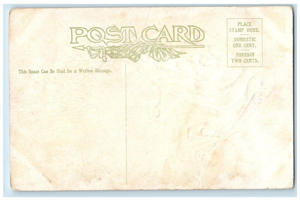 c1910's Stork Delivering Newborn Babies Embossed Unposted Antique Postcard