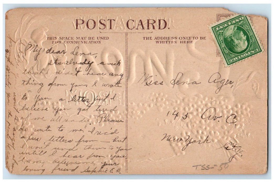 c1910 Just A Few Pines from Ellenville New York NY Embossed Postcard