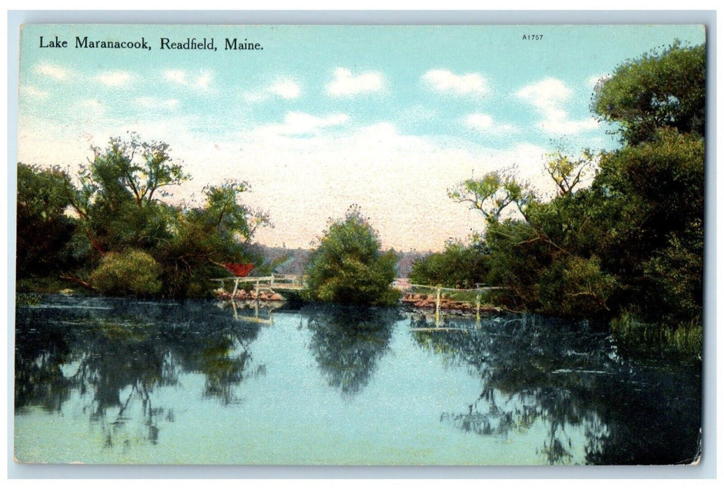 c1910 Lake Maranacook River Swamp Trees Readfield Maine Vintage Antique Postcard