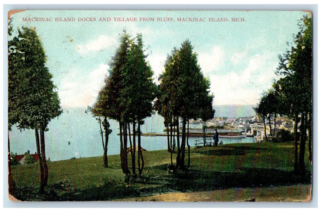 1907 Mackinac Island Docks and Village from Bluff MI Greenport NY Postcard