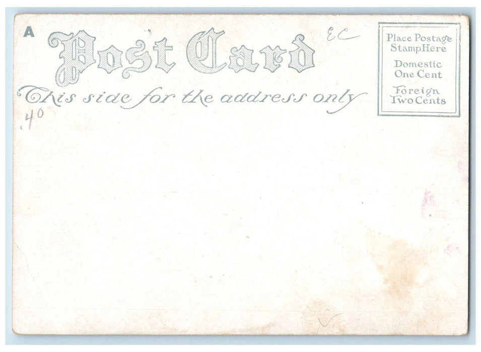 c1905 My Love To Chee Pretty Little Girl With Flowers Unposted Antique Postcard