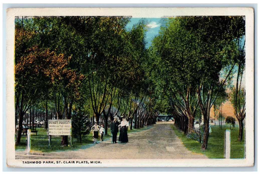 c1920's Tashmoo Park, St. Clair Flats Michigan MI Antique Unposted Postcard