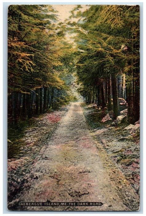 1910 Chebeague Island Tree Rocks Dark Road Maine Street Vintage Antique Postcard