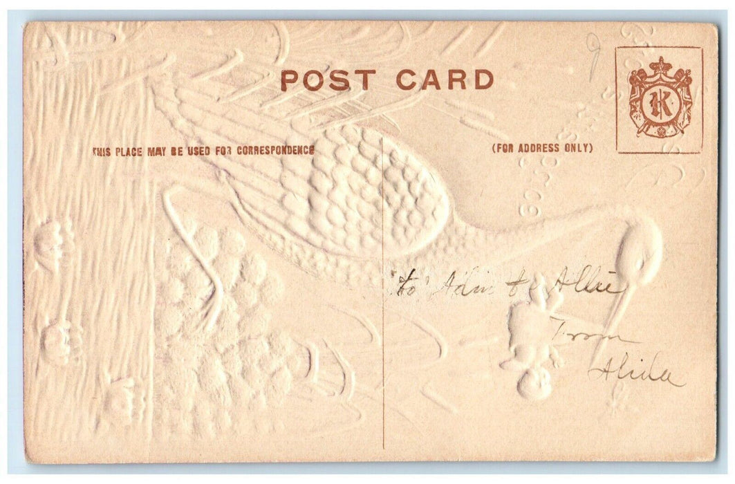 c1910's Hearty Congratulations Stork Deliver Baby Airbrushed Embossed Postcard