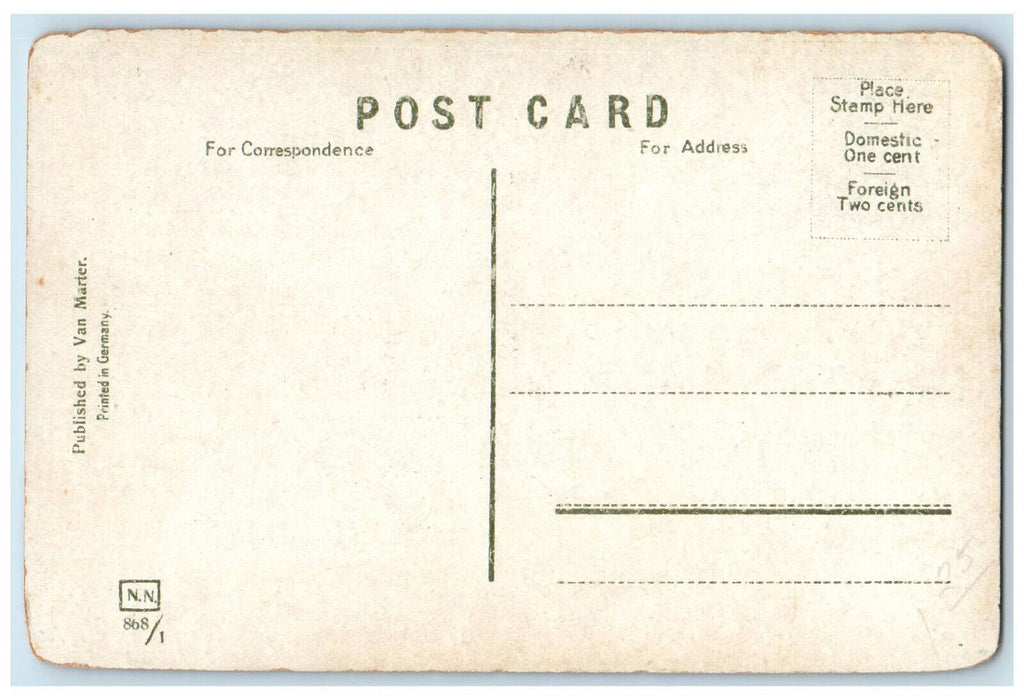 c1910 Col. Libby's Residence Princeton New Jersey NJ Antique Unposted Postard