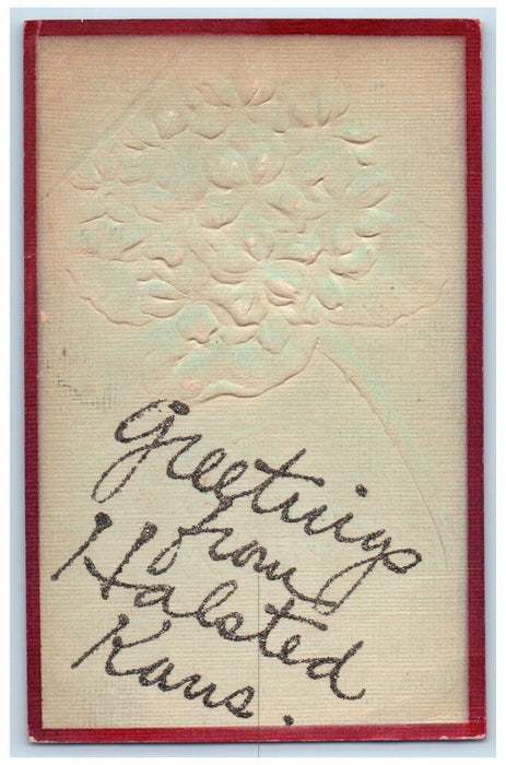 c1910's Greetings From Halsted Kansas KS, Flower Glitter Embossed Postcard