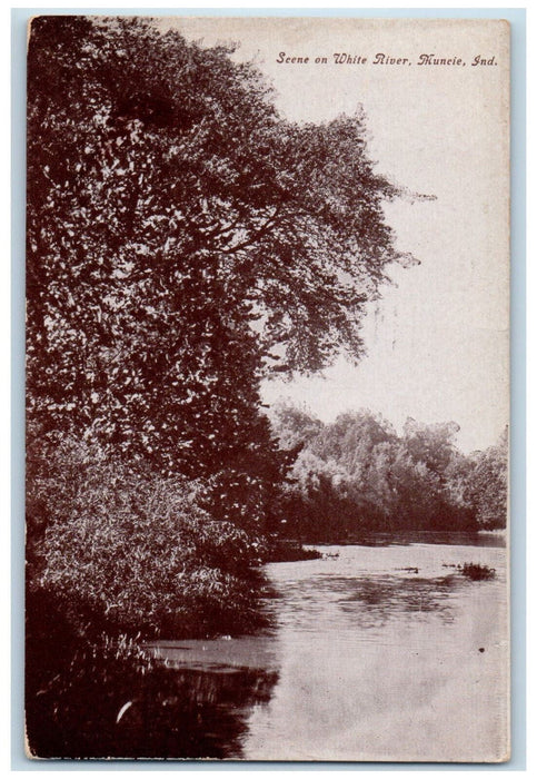 1914 Nature Scene On White River Muncie Indiana IN Antique Posted Postcard